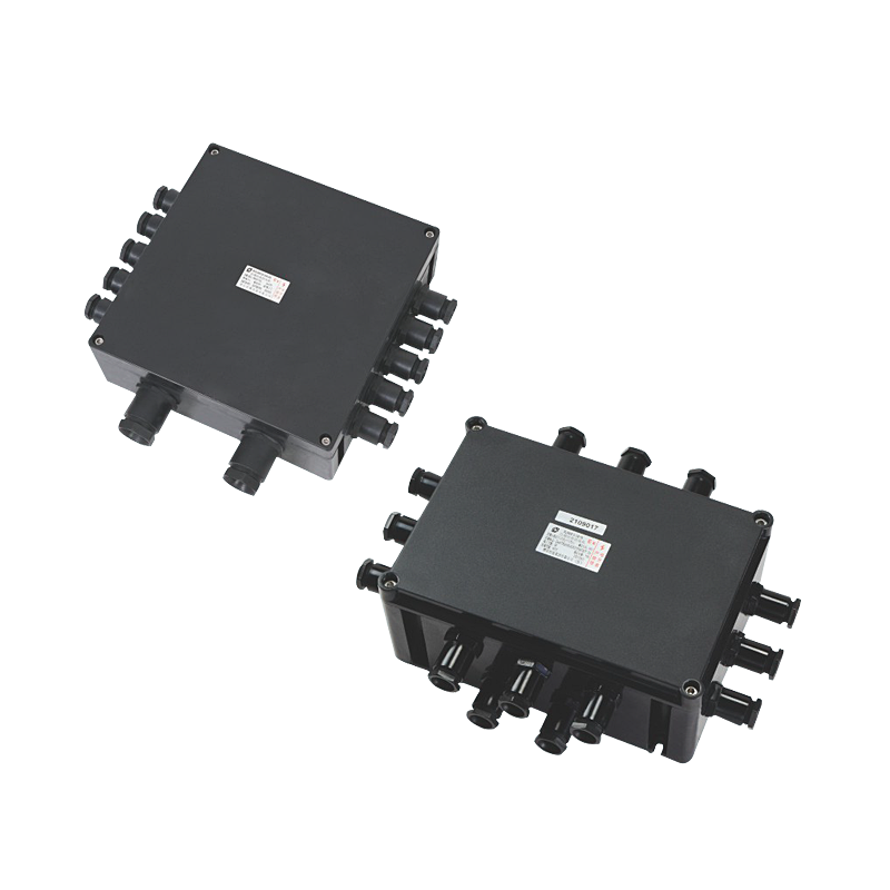 BJX8030系列防爆接線(xiàn)箱（ⅡB、ⅡC、ⅢC）
