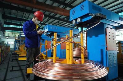 頭雁領(lǐng)航，雁陣齊飛 上海金山“光電傳輸谷”驅(qū)動(dòng)金屬制品產(chǎn)業(yè)集群提級(jí)增效